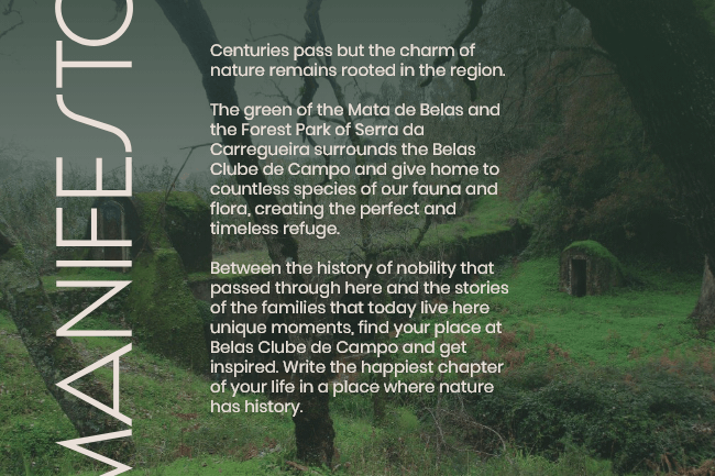 Centuries pass but the charm of nature remains rooted in the region.
The green of the Mata de Belas and the Forest Park of Serra da Carregueira surrounds the Belas Clube de Campo and give home to countless species of our fauna and flora, creating the perfect and timeless refuge. 
Between the history of nobility that passed through here and the stories of the families that today live here unique moments, find your place at Belas Clube de Campo and get inspired. Write the happiest chapter of your life in a place where nature has history.